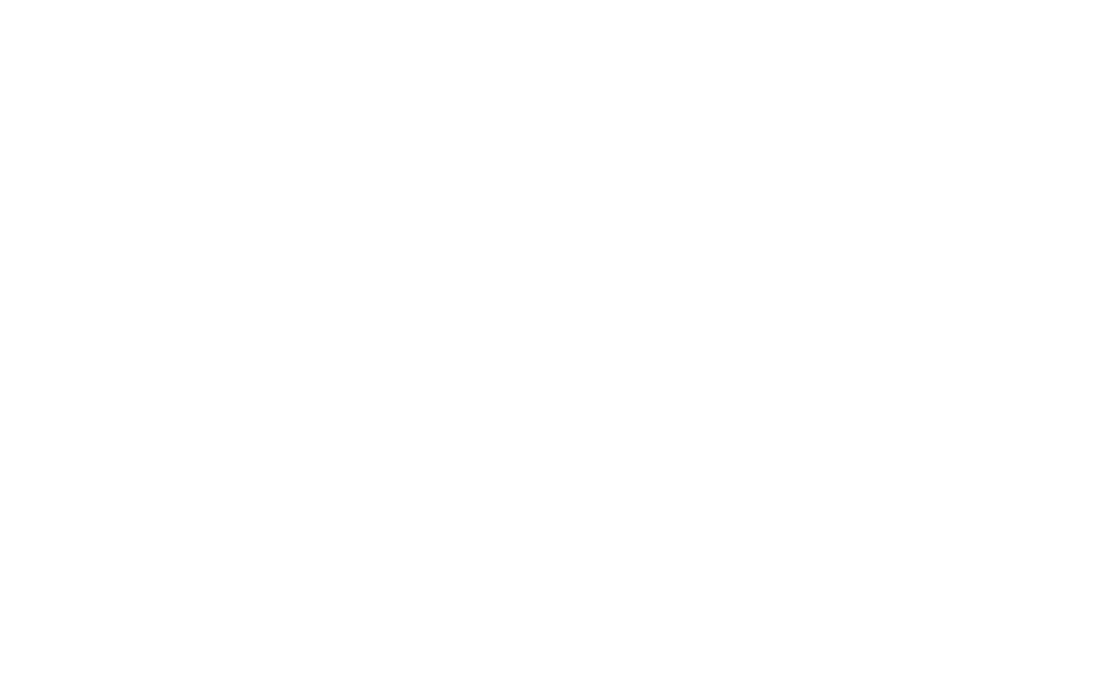 Custom Trailer Options